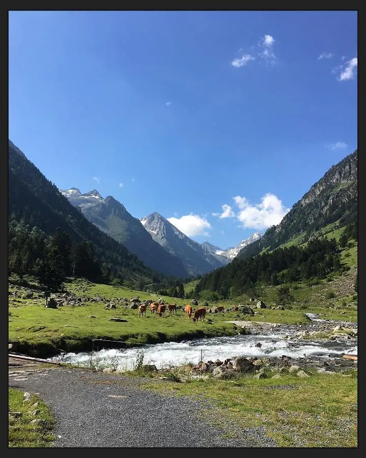 Appartement Cocooning Cauterets Coeur De Ville
